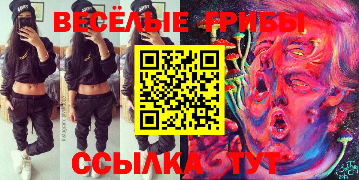 Псилоцибиновые грибы MAGIC MUSHROOMS  Вход с VPN  Долгопрудный 