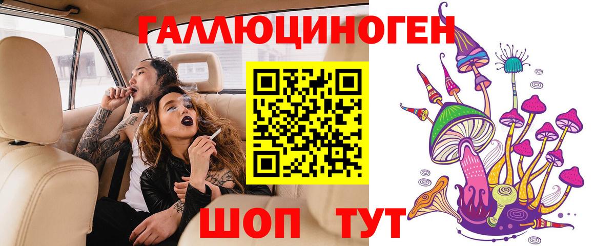 Галлюциногенные грибы Psilocybe Долгопрудный